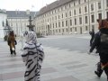 IMGP3189.JPG